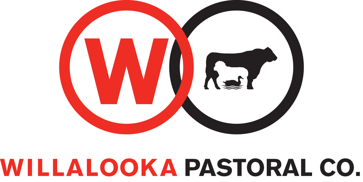 Willalooka Pastoral Co.